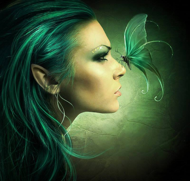 Para los amigos y todo.
 #24016196