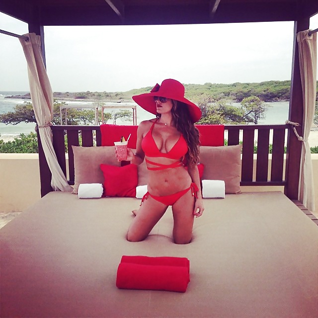 Nikki bella sexy bikini selfie
 #34448889