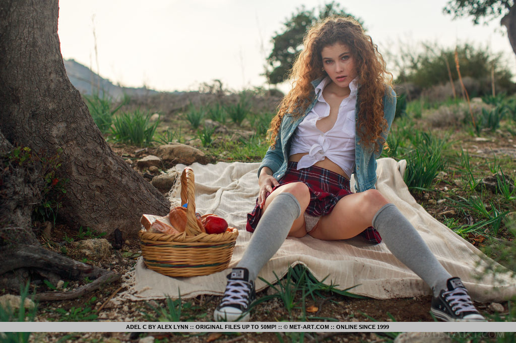 Leggy teen glamour babe Adel C modeling outdoors in knee socks and panties #52339613