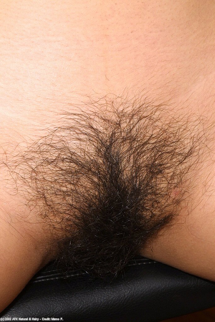 Amateur Latina Sky flashing natural tits and spreading hairy cunt #51085310