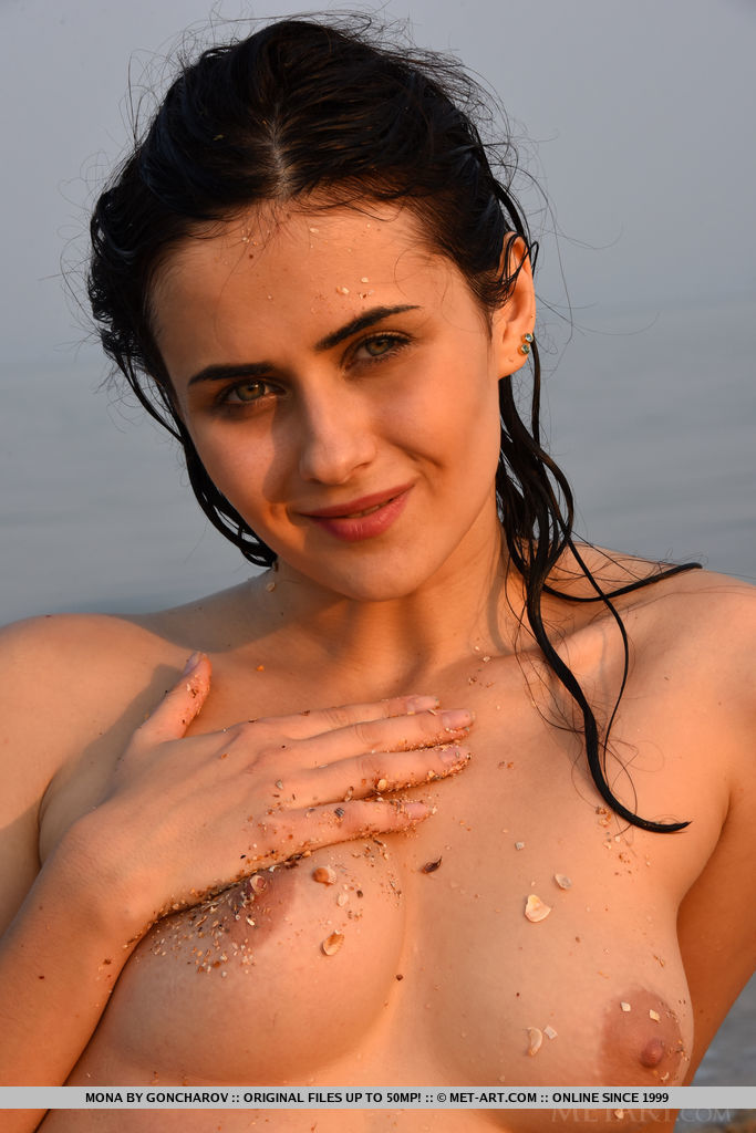 Une jeune femme brune sur la plage dévoile ses petits seins et sa chatte rasée lors d'une séance de photos glamour.
 #50156428