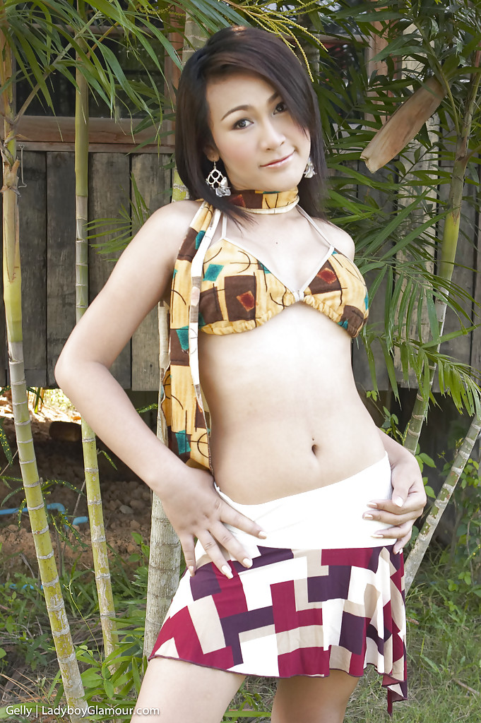 Wunderschöne thailändische Ladyboy gelly und ihre ungeschnittene shecock posieren solo im Freien
 #51893563