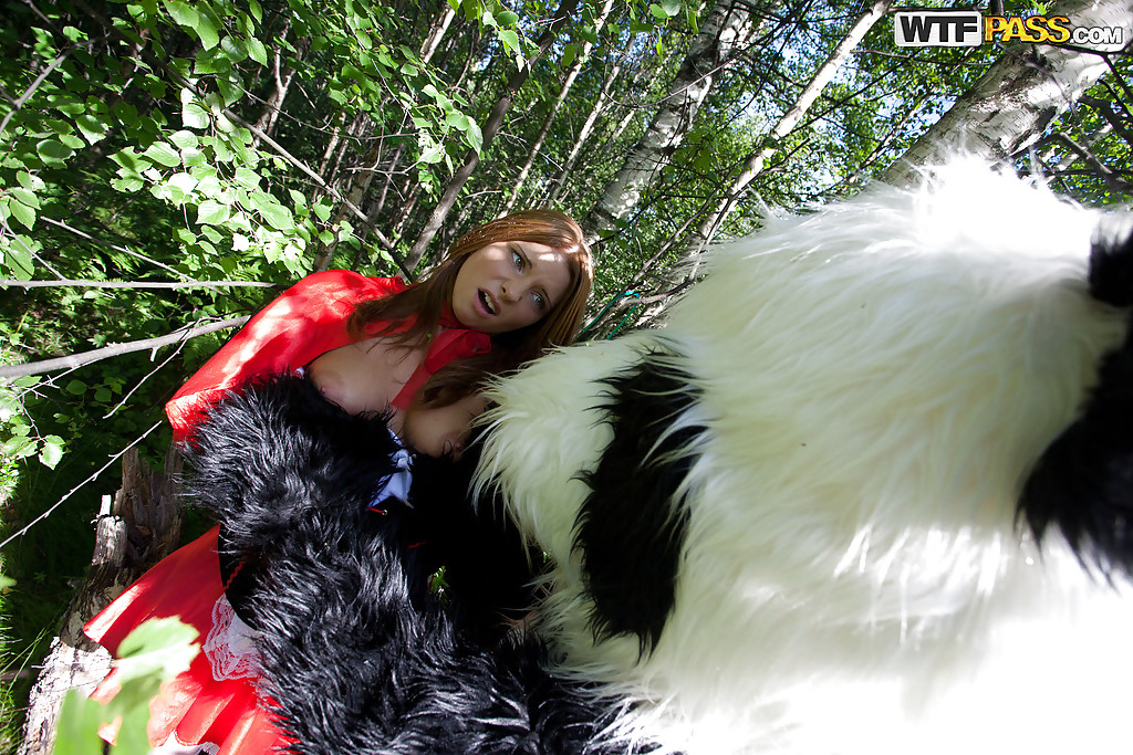 Une jolie jeune aux gros seins s'envoie en l'air avec un panda en plein air.
 #52137373