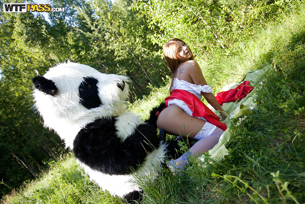 Une jolie jeune aux gros seins s'envoie en l'air avec un panda en plein air.
 #52137662