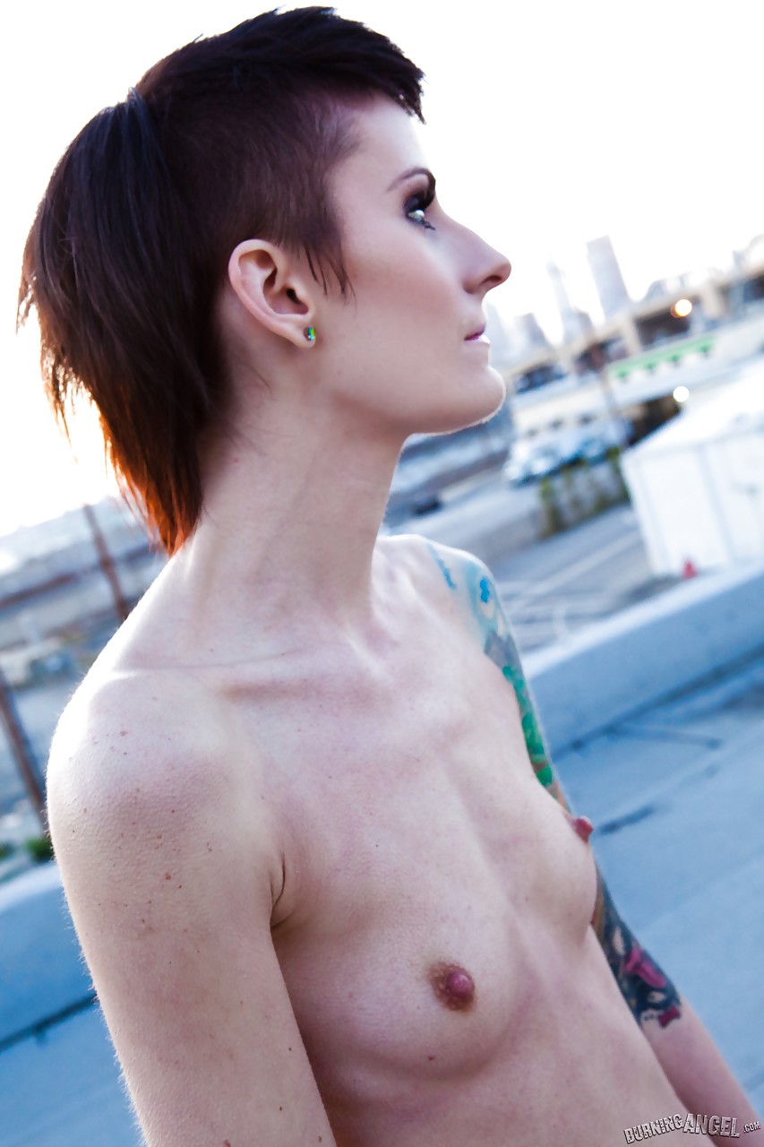 Flaca con cuerpo tatuado mostrando sus pequeñas tetas al aire libre en una azotea
 #51907985