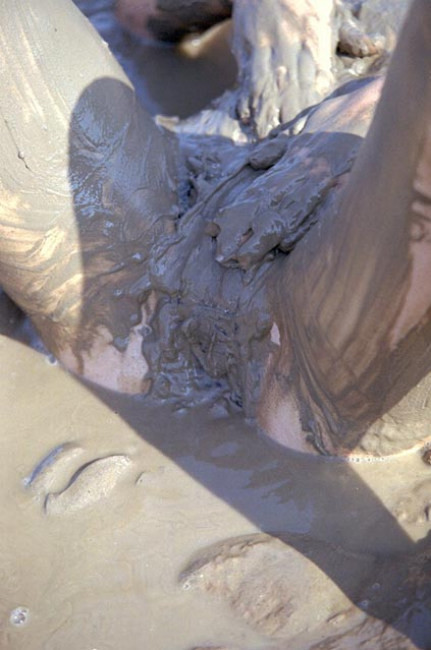 Angelic body teen spreading in mud #76621313