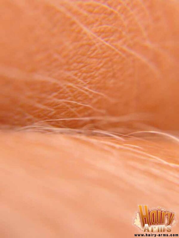 Nahaufnahme von Loris sexy Armhaar
 #67427441