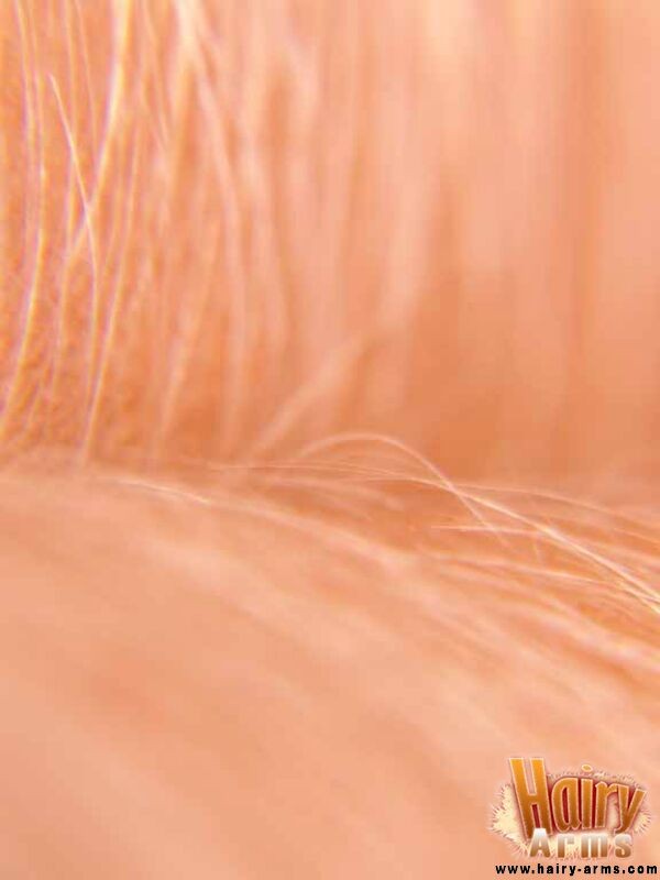 Nahaufnahme von Loris sexy Armhaar
 #67427448