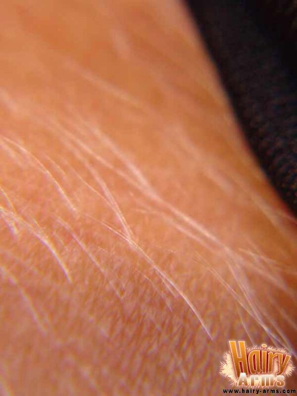 Nahaufnahme von Loris sexy Armhaar
 #67427489