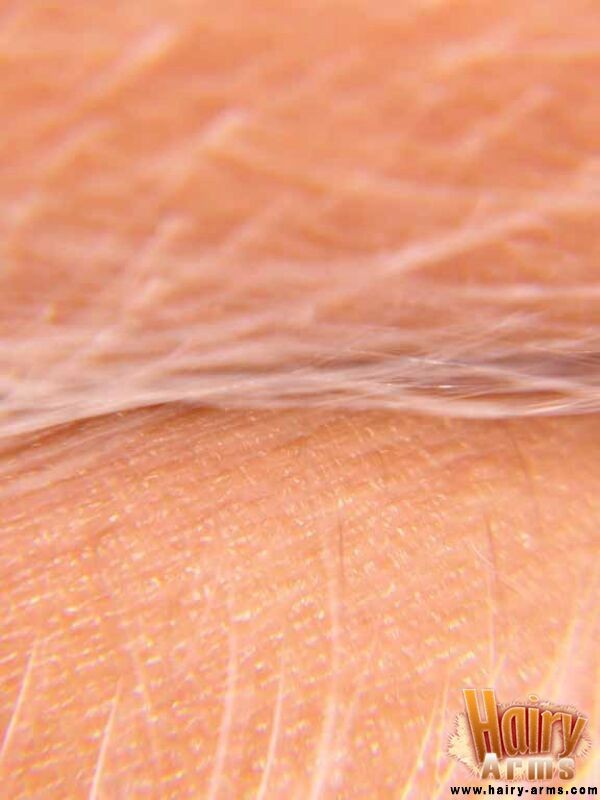 Nahaufnahme von Loris sexy Armhaar
 #67427501