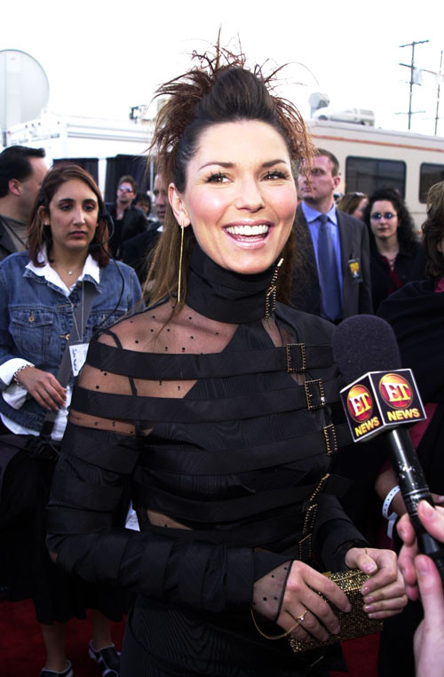 Shania Twain posing very sexy in fuckme boots and in see thru #75416490