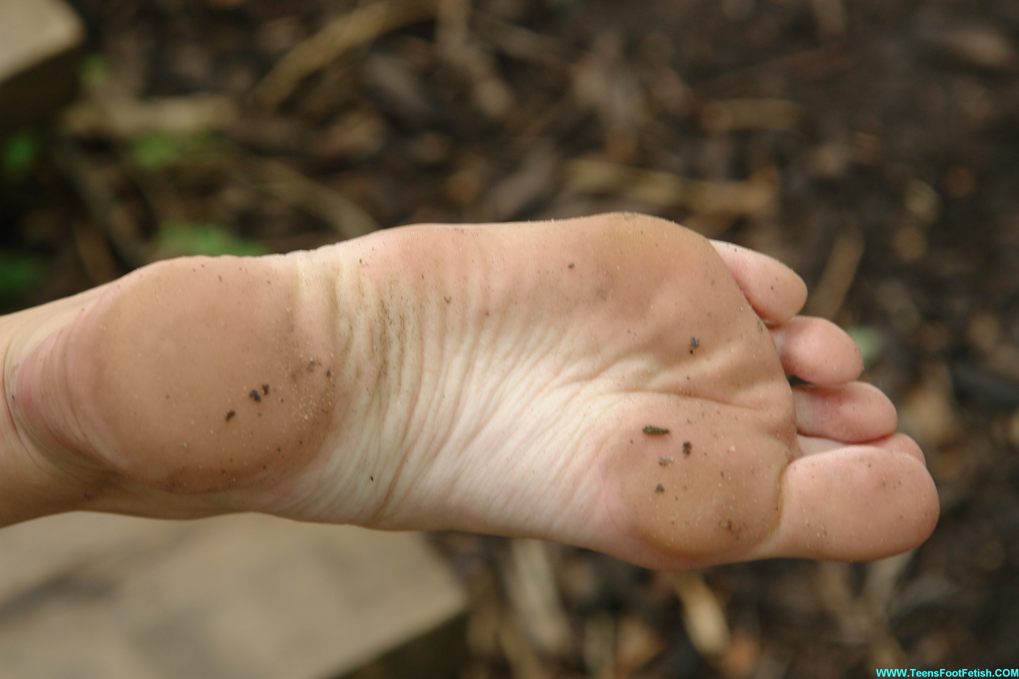 特別なセクシーな足
 #68431601