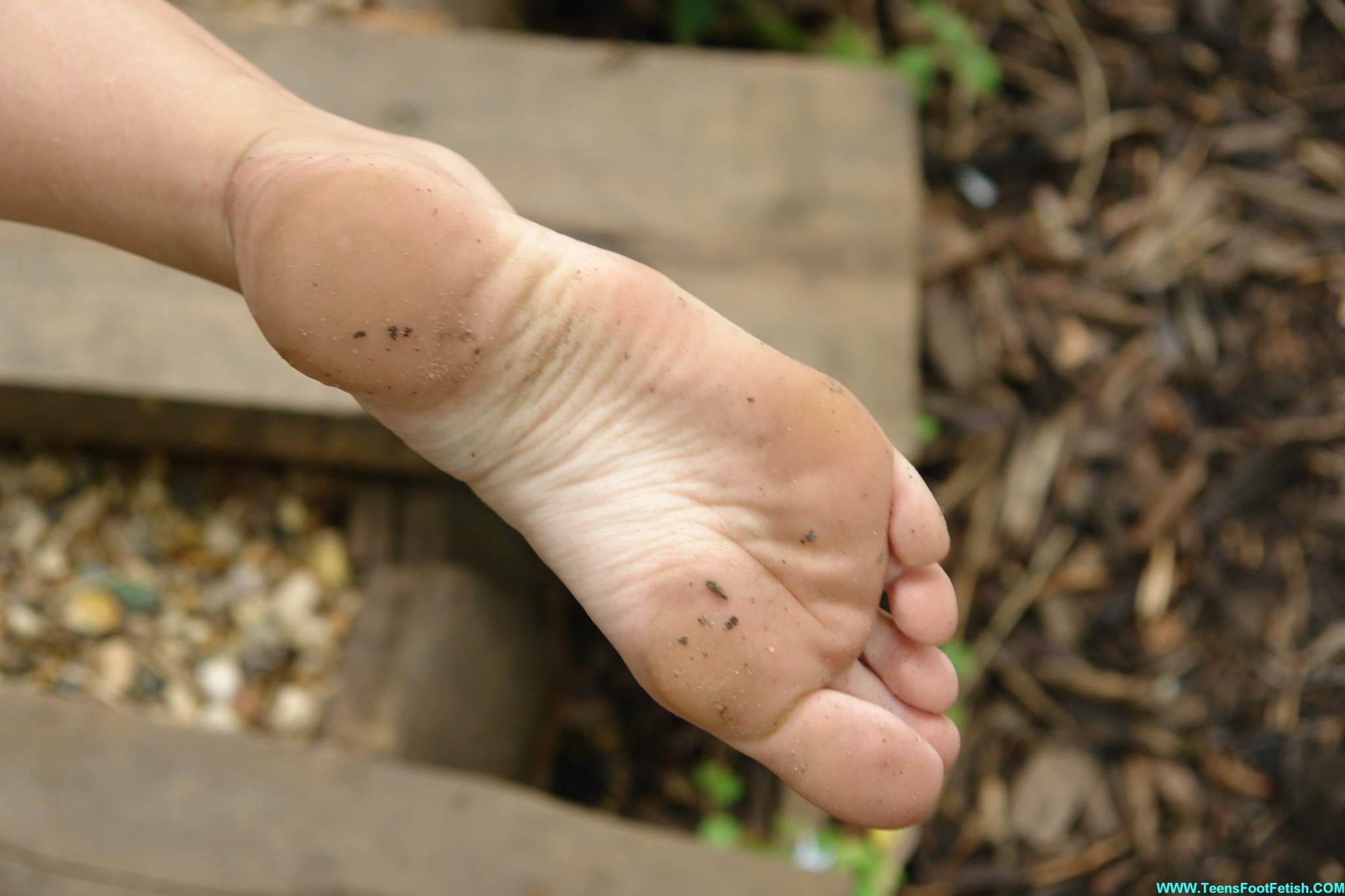 特別なセクシーな足
 #68431609