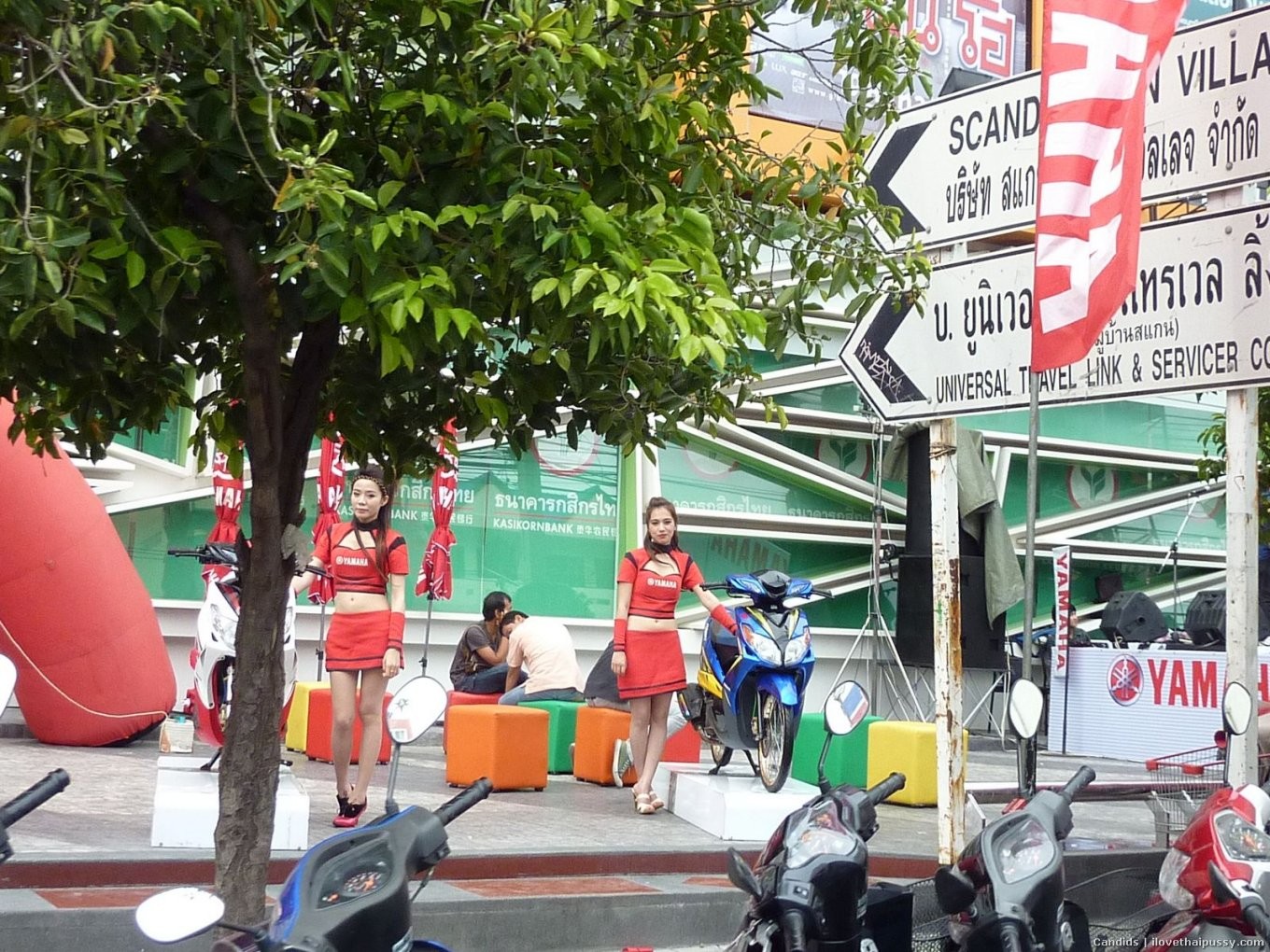 Petite thailändischen Straße Hure gefickt von weltberühmten Sex-Touristen klaus heißen asiatischen Schlampe
 #68373232