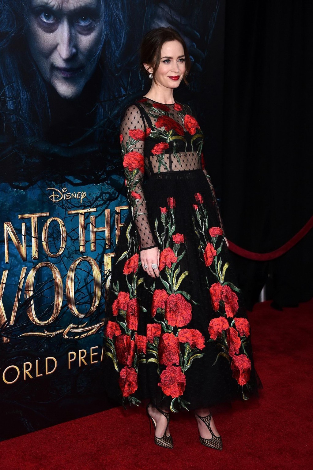 Emily Blunt see thru to bra at Into the Woods premiere in NYC #75178727