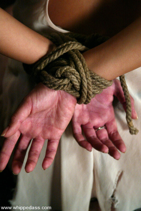 Bondage, leccare il culo, fustigazione, cera calda e orgasmi forzati.
 #72151680