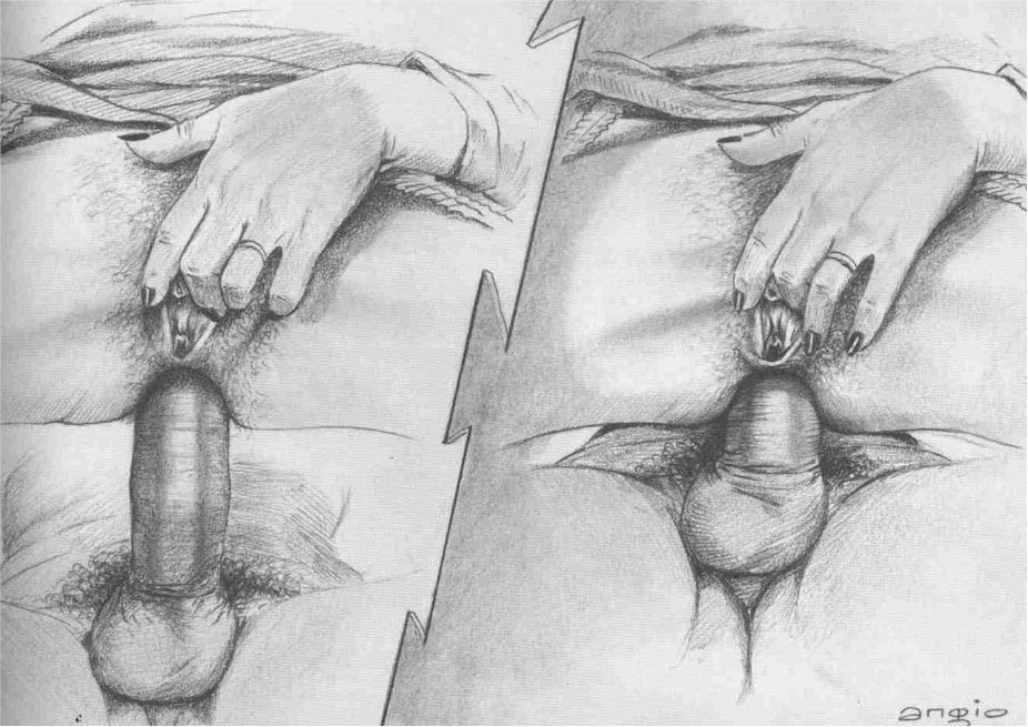 Pollas gigantes estiran los culos gritando
 #69697224