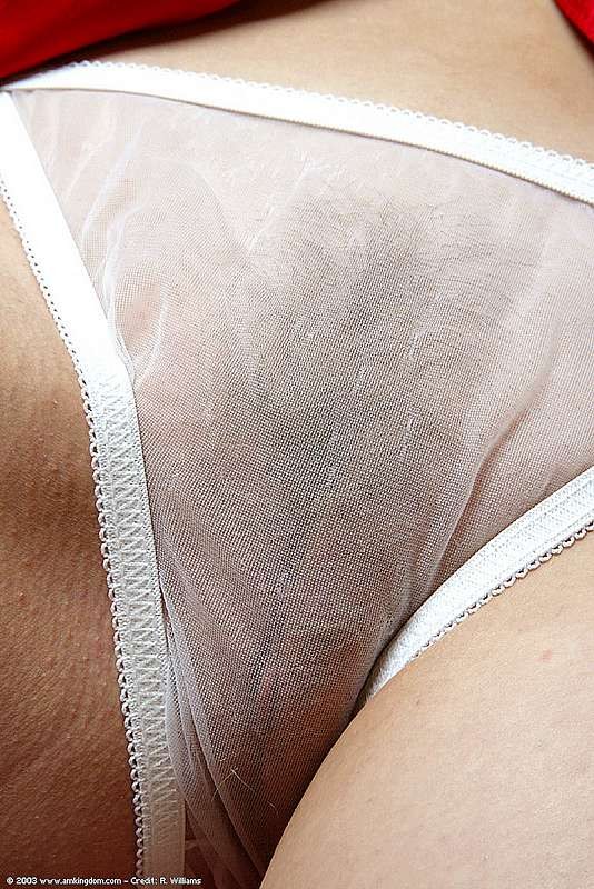See thru white lace panties #78687454