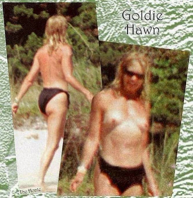 veteran Hollywood dingbat Goldie Hawn nude #75365977