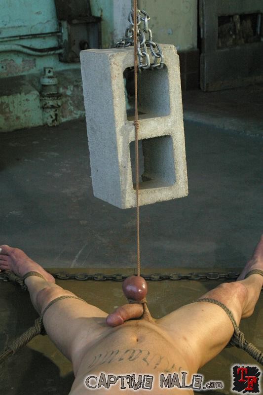 La zorra nika noire follando el culo de un hombre en una dura acción femdom
 #72156873