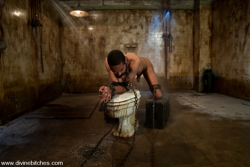 Evil dominatrix cabalga la polla de slaveboy hasta que ruega a soplar su carga entonces completa
 #72136536