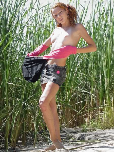 Mini Tit Redhead Roza Strips Outdoors in Nature #78635611