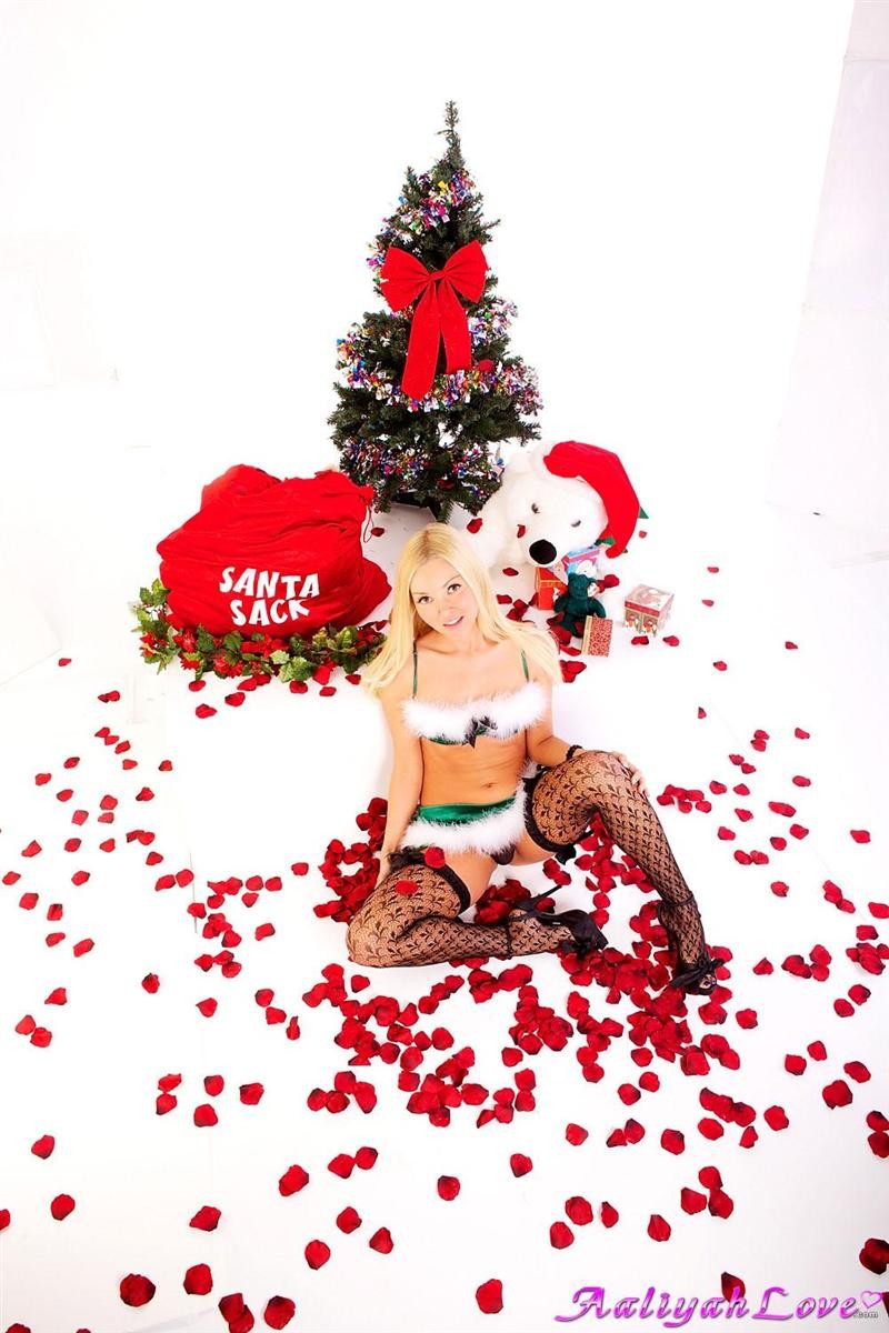 Aaliyah Love zieht sich neben einem Weihnachtsbaum aus
 #73609488