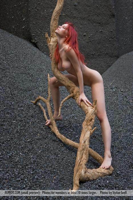 Nudi erotici di babe dai capelli rossi
 #72757579
