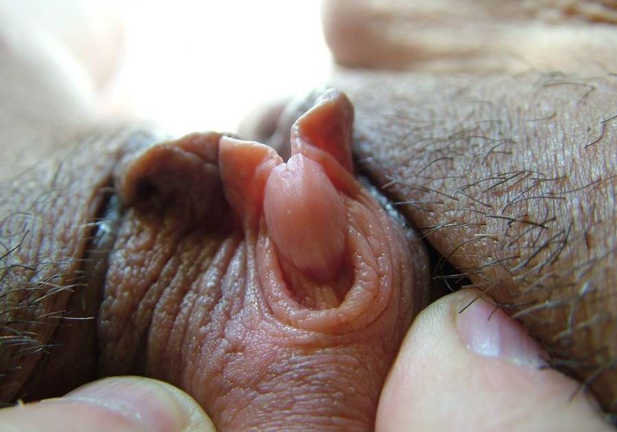 Clitoride e labbra della figa davvero enormi
 #73233173
