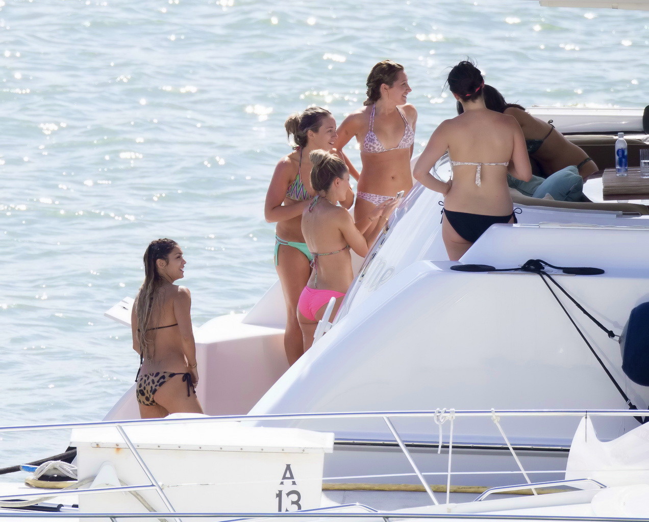 Vanessa hudgens e ashley tisdale indossando bikini di stampa animale skimpy sul ya
 #75196279