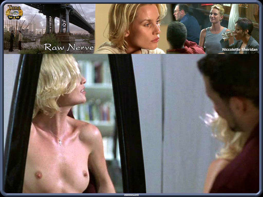 Nicollette Sheridan pussy slip upskirt in car and topless #75341564