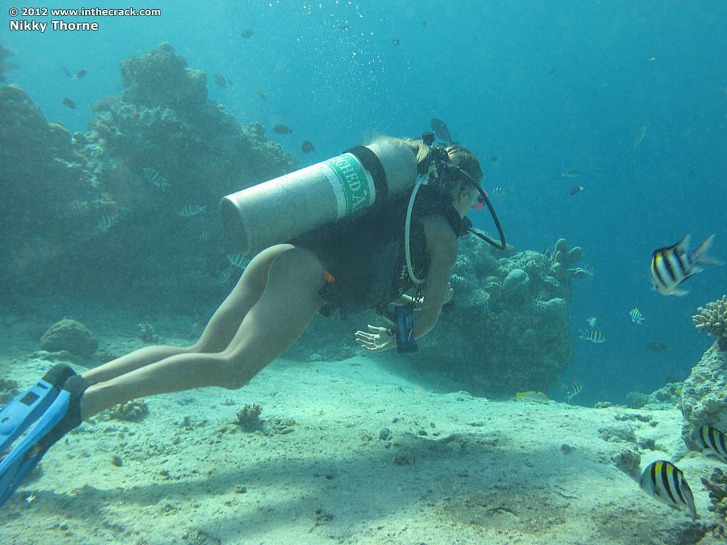 Nikky thorne shows sie scuba muschi unter die ocean
 #70983204