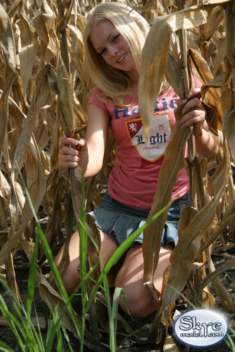 Jeune blonde amateur se cachant dans un champ de maïs.
 #67228639
