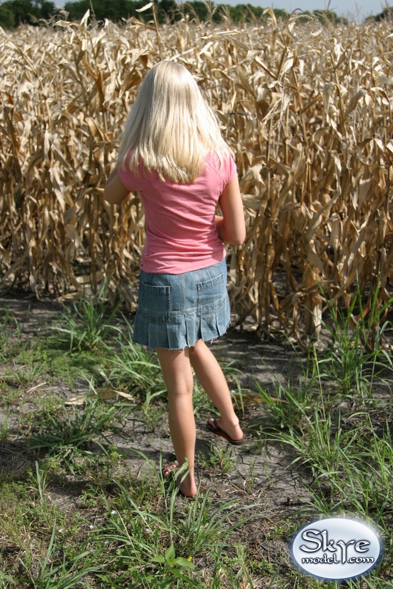 Blonde Amateur teen necken versteckt in Maisfeld
 #67228658