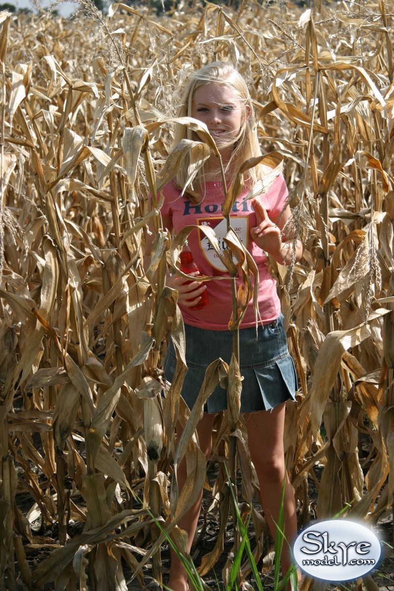 Jeune blonde amateur se cachant dans un champ de maïs.
 #67228668