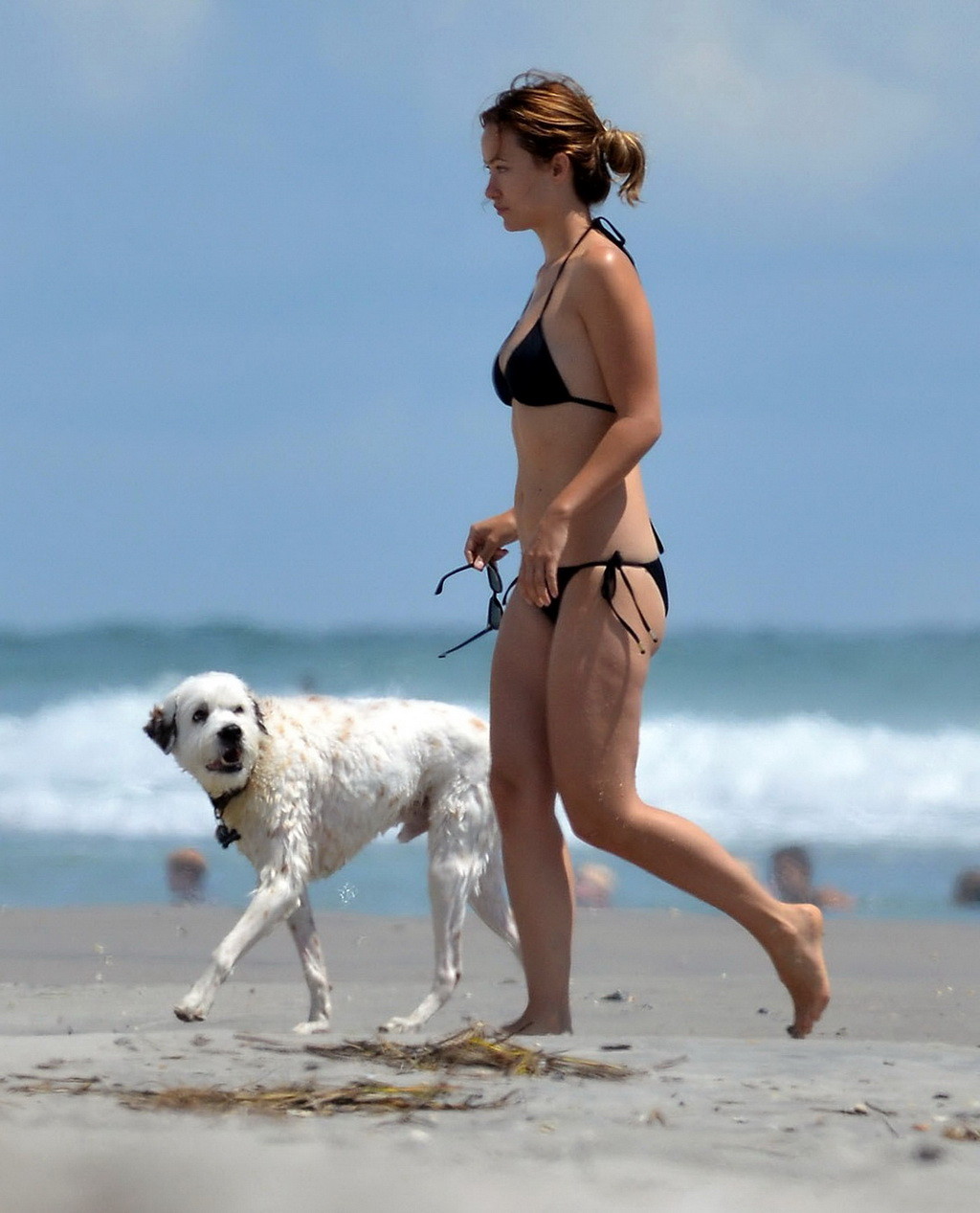 Olivia wilde trägt einen schwarzen Bikini an einem Strand in Wilmington
 #75253999
