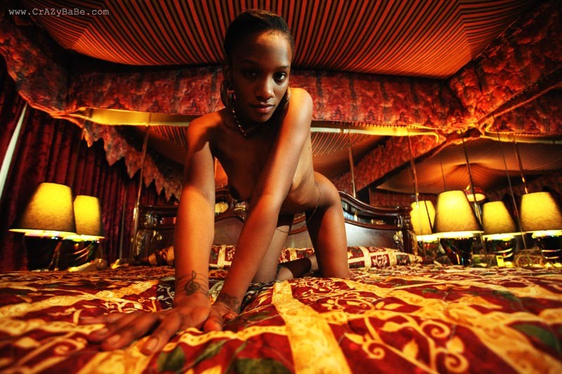 Moon Daisy at CrazyBabe #75112921