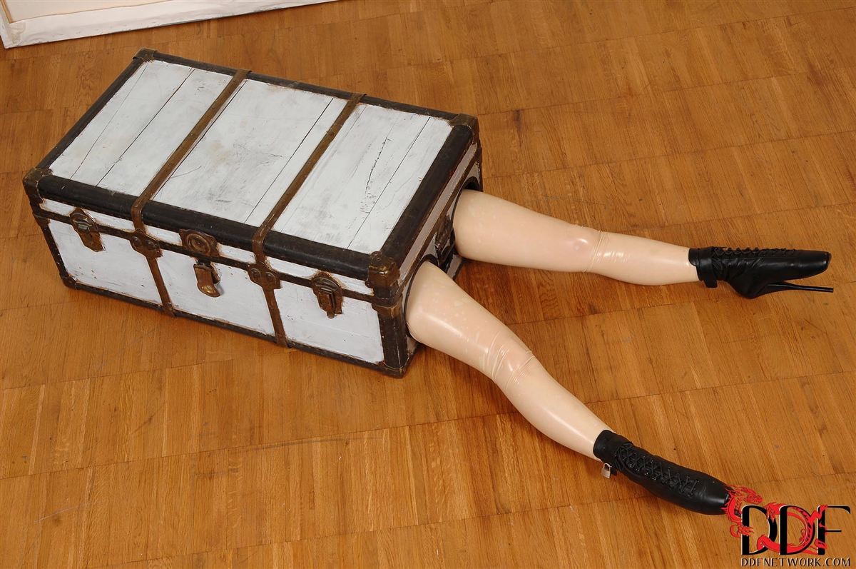 Latex Lucy wird aus ihrer Box geholt und gefickt
 #74414529