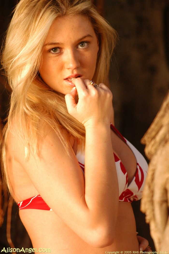 La superbe blonde Alison Angel nue.
 #71134499