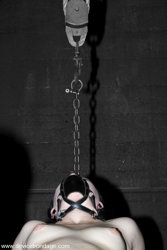 Alexa von Tess in leather strap bondage and ball gaged #71882717