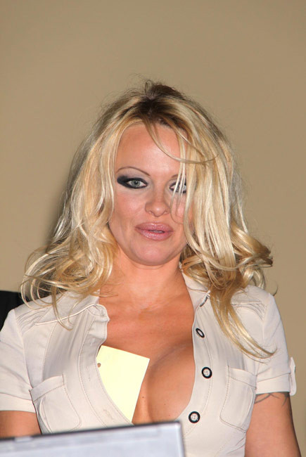 Celebrity Babe Pamela Anderosn schönes Dekolleté große Brüste
 #75406661