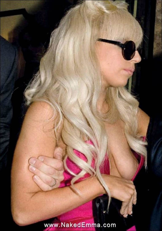 Top Celebrity Nip Slips #75142685