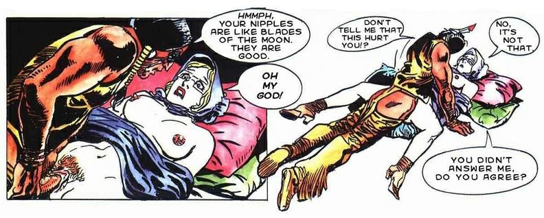 Cómics de sexo occidental para adultos
 #69719254