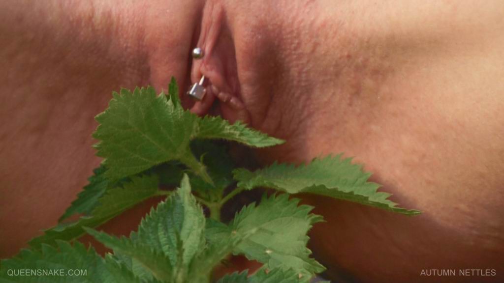 Queensnake posando desnuda al aire libre
 #70057163