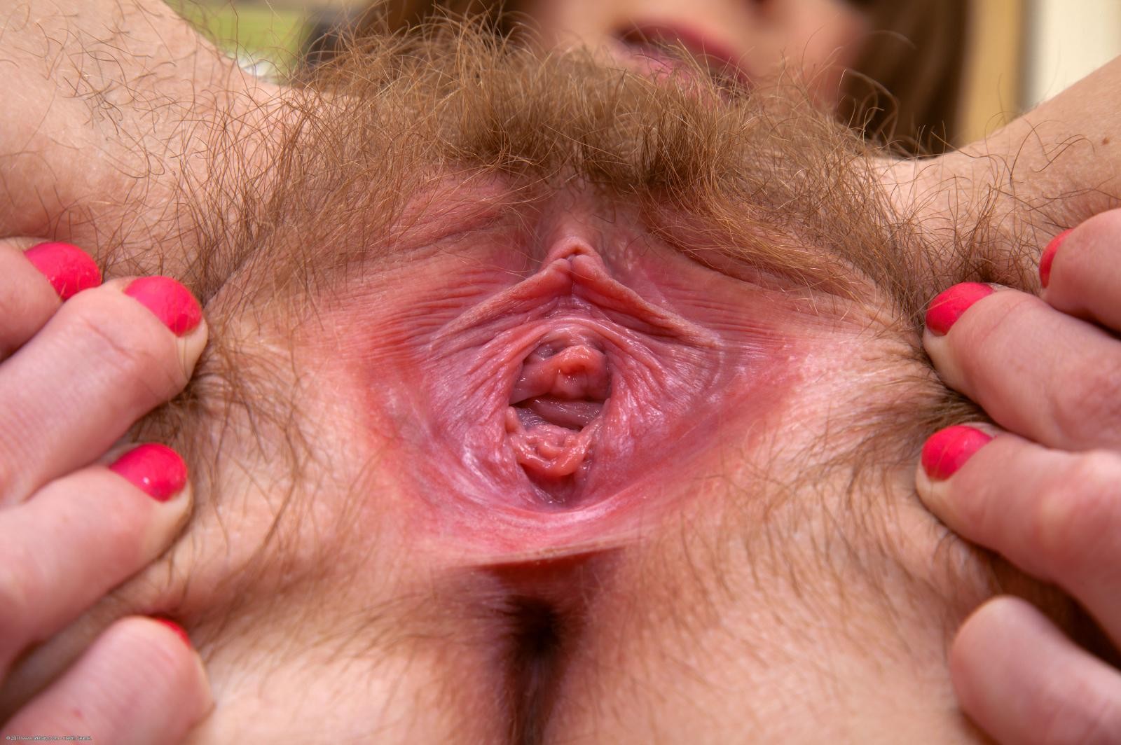 Natural amateur spreading hairy pussy wide #68439164