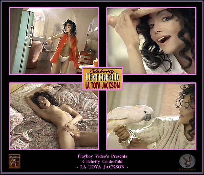 Jackson famiglia pecora nera aka latoya jackson nudes
 #73388350