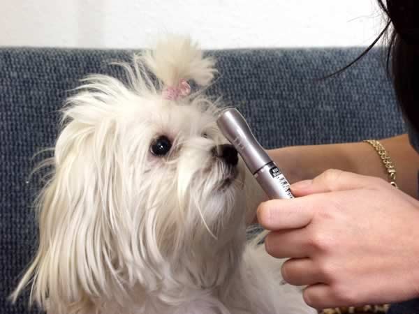 Two lesbian chicks playing and spreading wide #74088518