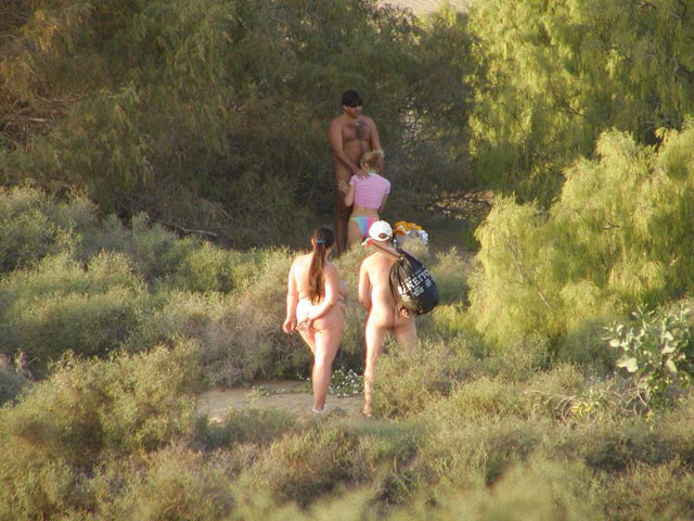 Une jeune femme sexy et bien roulée se déshabille sur une plage nudiste.
 #72255339
