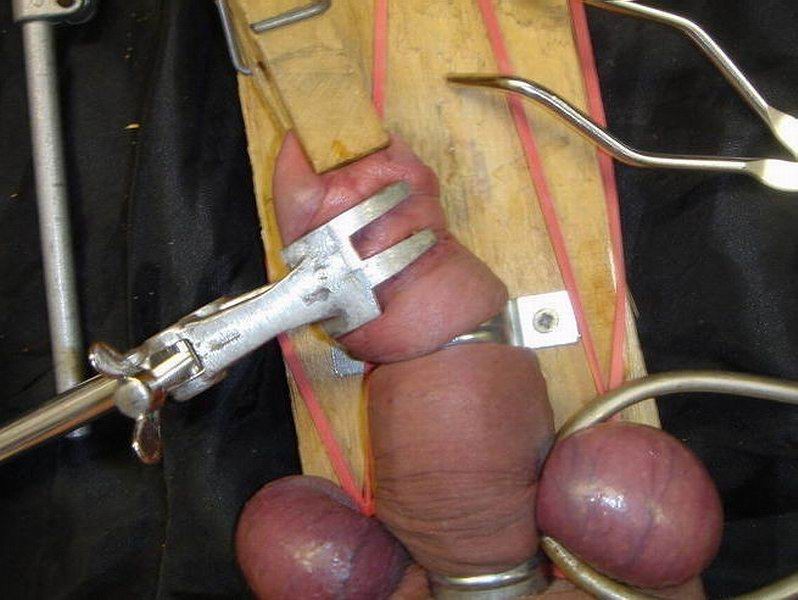 extremely tortured and bondaged cocks #71979797