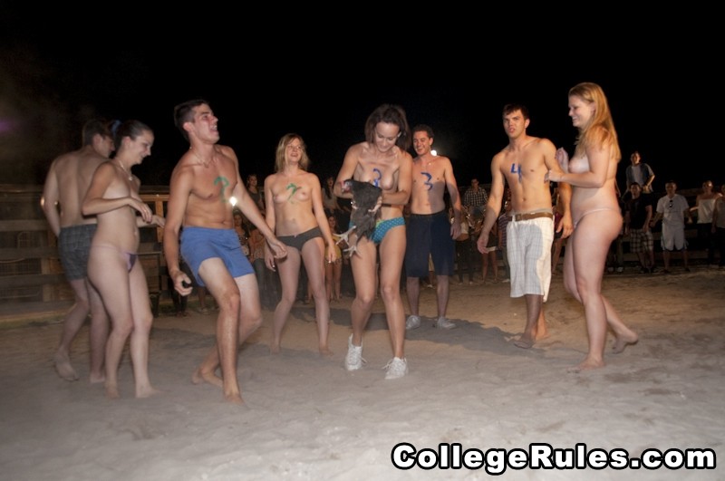 College-Party wird bald zu einer Hardcore-College-Orgie
 #74599170